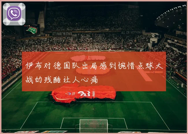 伊布对德国队出局感到惋惜点球大战的残酷让人心痛