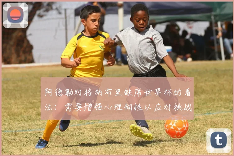 阿德勒对格纳布里缺席世界杯的看法：需要增强心理韧性以应对挑战