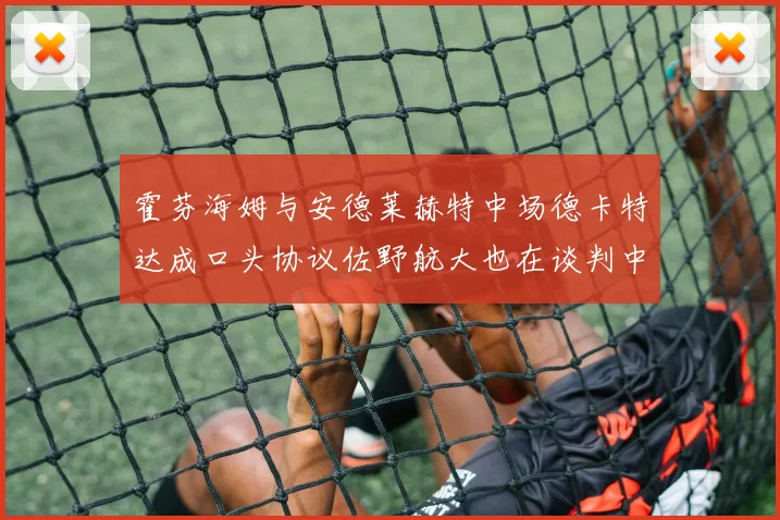 霍芬海姆与安德莱赫特中场德卡特达成口头协议佐野航大也在谈判中